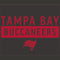 NFL Tampa Bay Buccaneers Brown Performance Series Steam Deck Handheld Gaming Computer Skin